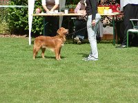 k-2008-07-13 009